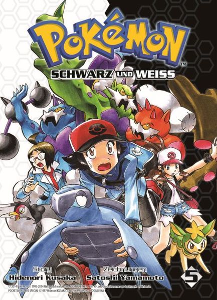 Pokémon Schwarz und Weiss 05
