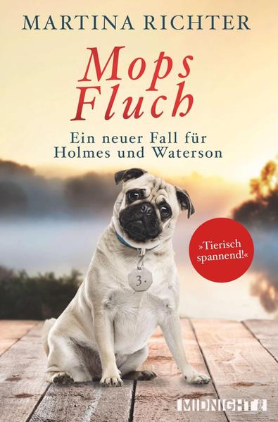 Mopsfluch