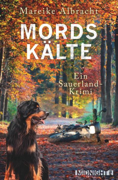 Mordskälte (Ein Fall für Anne Kirsch 4)