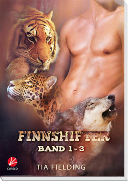 Finnshifter Band 1-3
