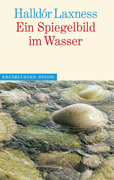 Ein Spiegelbild im Wasser