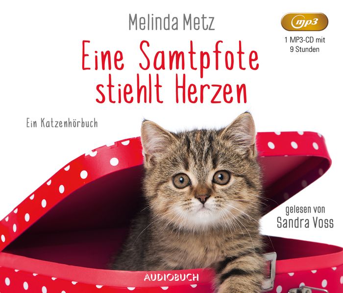 Eine Samtpfote stiehlt Herzen