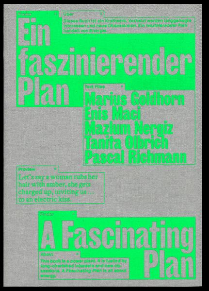 Marius Goldhorn, Enis Maci, Pascal Richmann: Ein faszinierender Plan