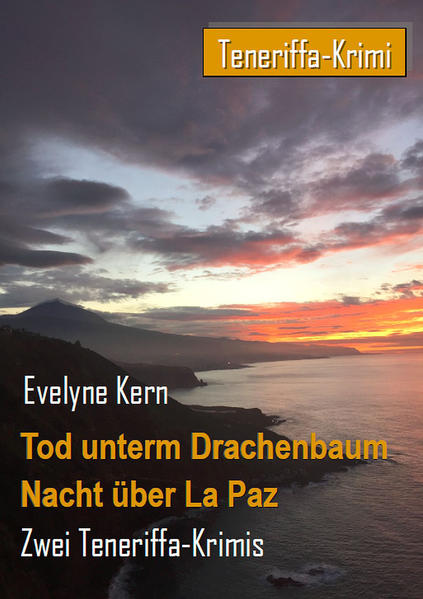 Tod unterm Drachenbaum - Nacht über La Paz