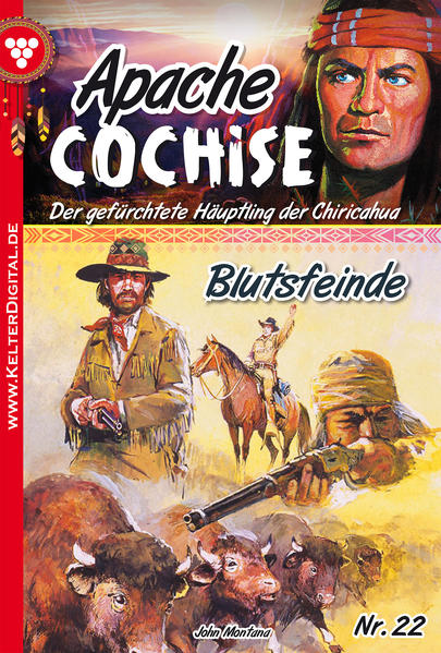 Apache Cochise 22 - Western