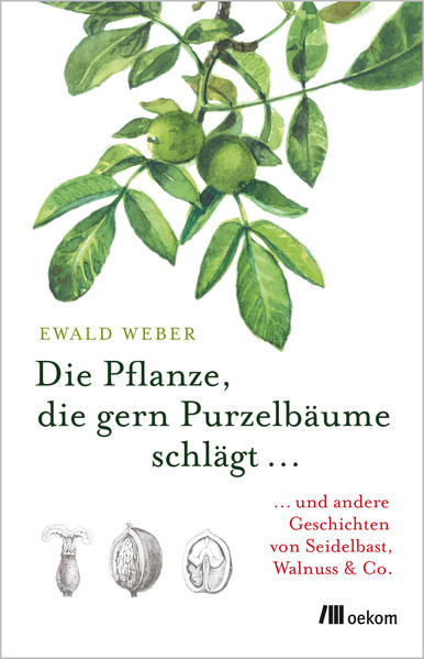 Die Pflanze, die gern Purzelbäume schlägt …