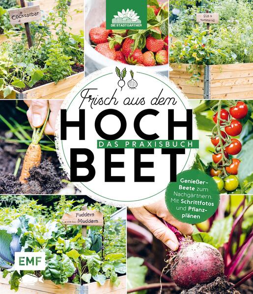 Frisch aus dem Hochbeet – Das Praxisbuch
