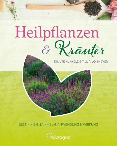 Heilpflanzen & Kräuter