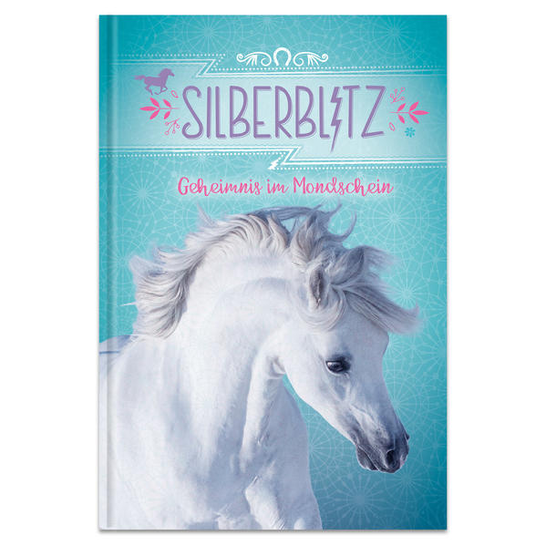 Silberblitz - Geheimnis im Mondschein
