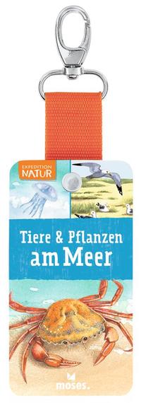 Expedition Natur - Fächer Tiere & Pflanzen am Meer