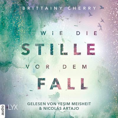 Wie die Stille vor dem Fall. Zweites Buch