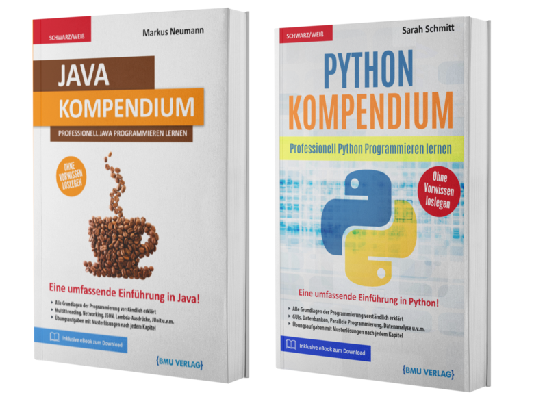 Java Kompendium + Python Kompendium (Taschenbuch)