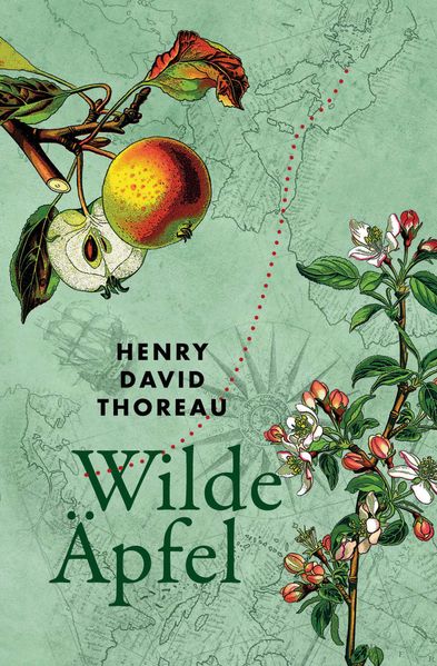 Wilde Äpfel