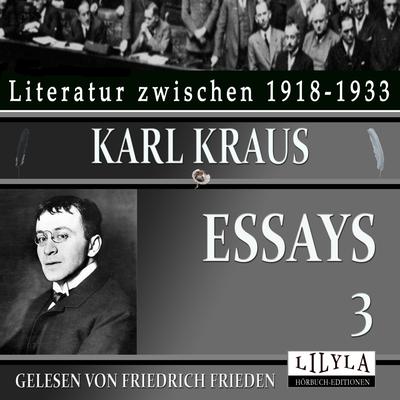 Essays 3