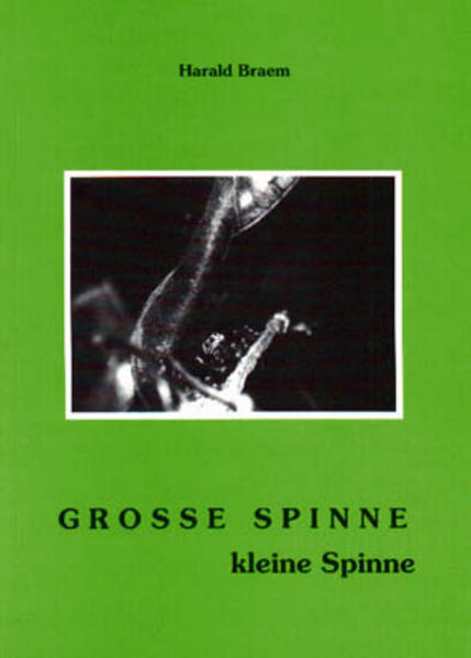 Grosse Spinne, kleine Spinne