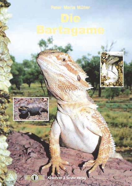 Die Bartagame