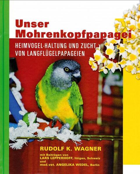 Unser Mohrenkopfpapagei