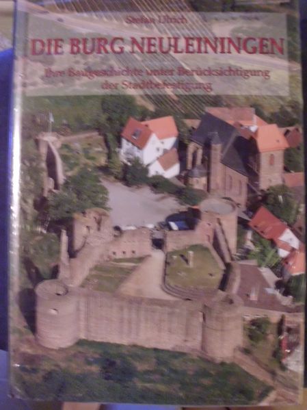 Die Burg Neuleiningen