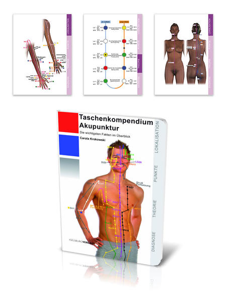 Taschenkompendium Akupunktur