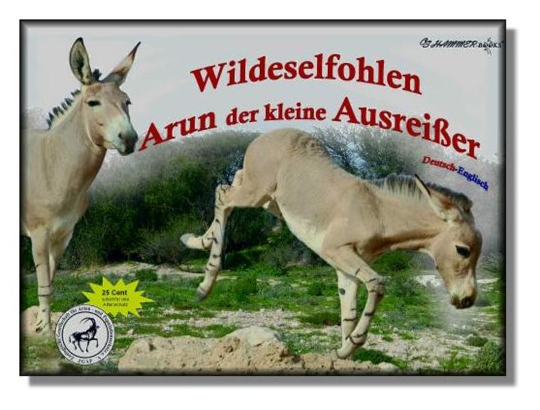 Wildeselfohlen Arun der kleine Ausreißer