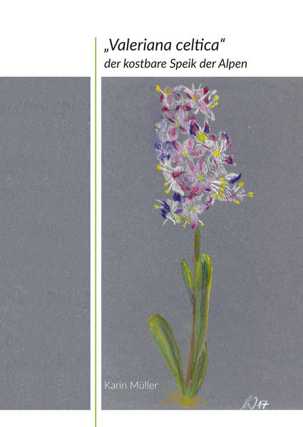 „Valeriana celtica“
