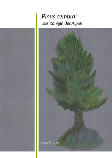 „Pinus cembra“