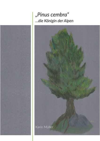 „Pinus cembra“