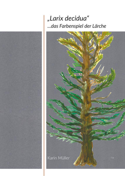 Larix decidua