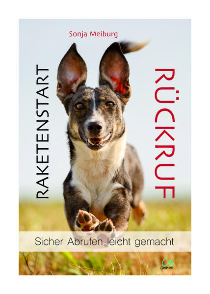 Raketenstart Rückruf