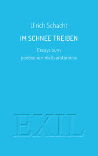 Im Schnee treiben