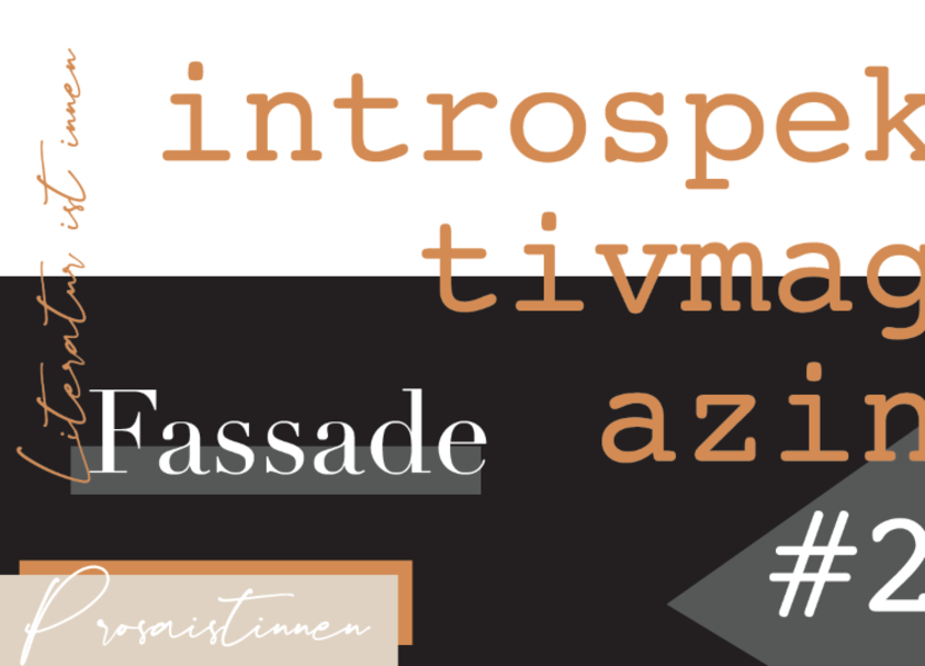 introspektiv #2 – Fassade