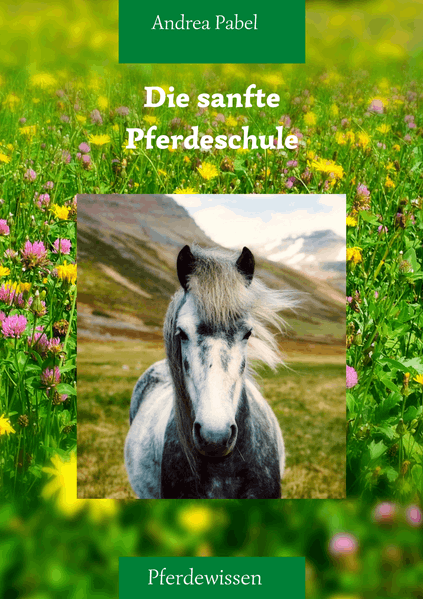 Die sanfte Reitschule
