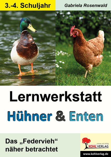 Lernwerkstatt Hühner und Enten / Grundschule