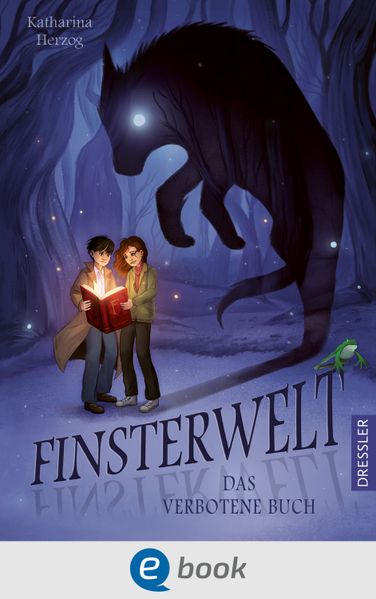 Finsterwelt 1. Das verbotene Buch