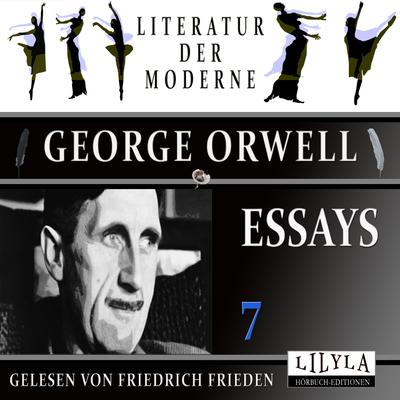 Essays 7