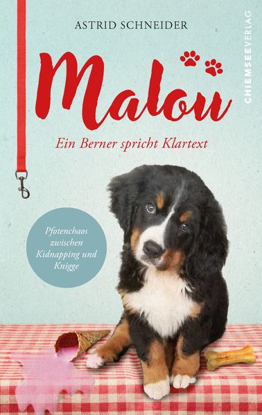 Malou - ein Berner spricht Klartext