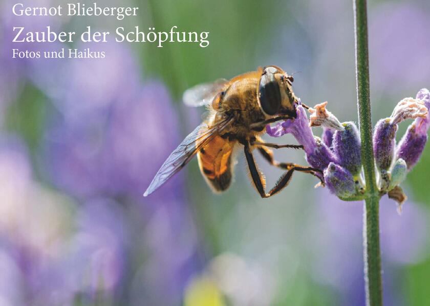 Zauber der Schöpfung