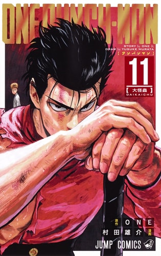 One Punch 11