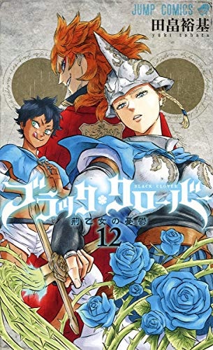 BLACK CLOVER Vol.12