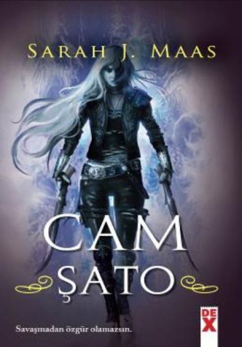 Cam Sato 1 Ciltli