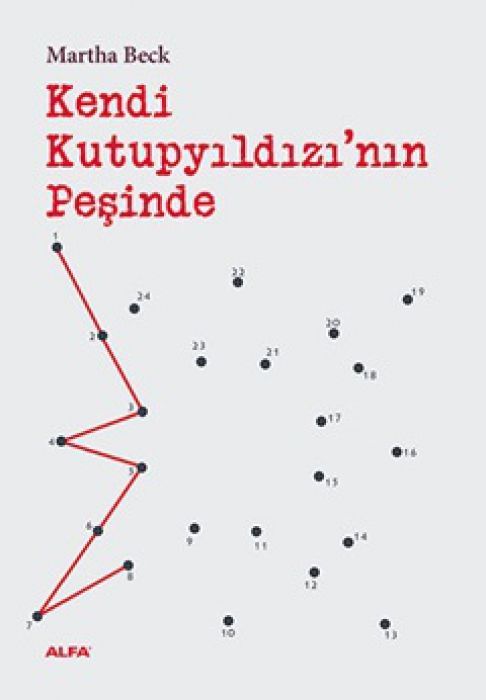 Kendi Kutupyildizinin Pesinde