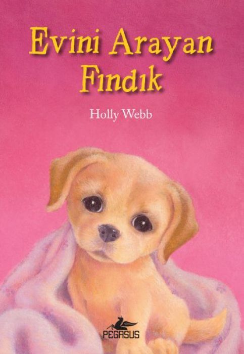 Evini Arayan Findik