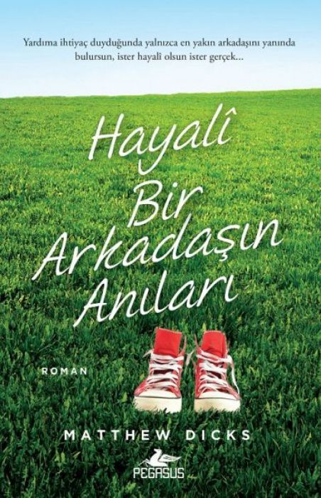 Hayali Bir Arkadasin Anilari