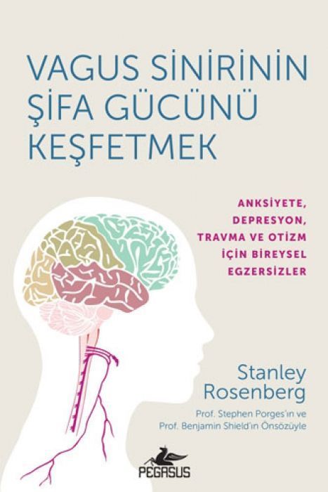 Vagus Sinirinin Sifa Gücünü Kesfetmek