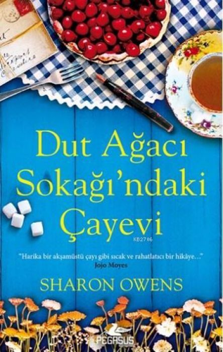 Dut Agaci Sokagindaki Cayevi