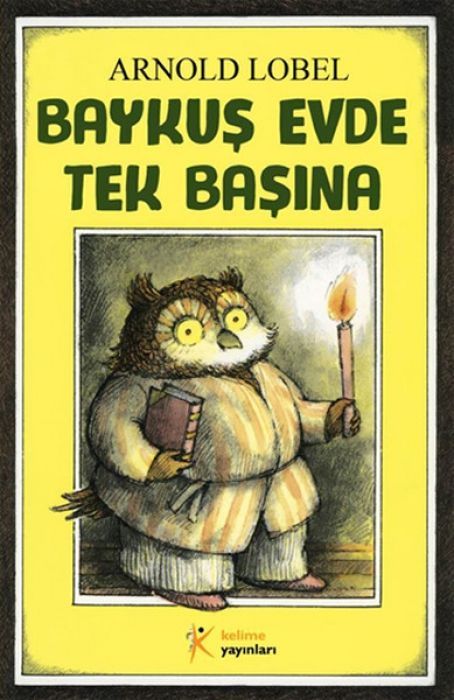 Baykus Evde Tek Basina