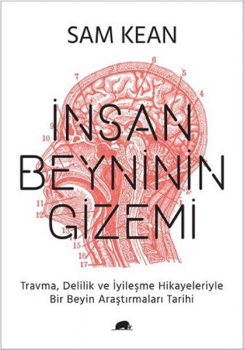 Insan Beyninin Gizemi