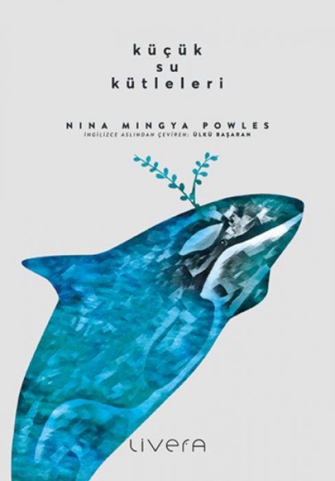 Kücük Su Kütleleri