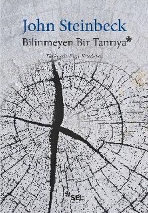 Bilinmeyen Bir Tanriya