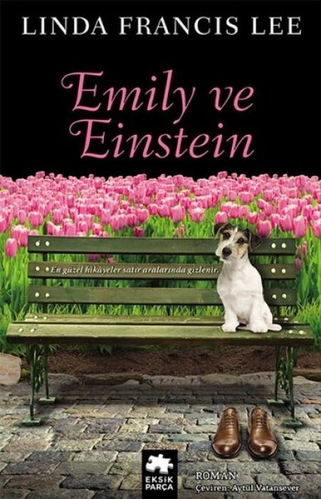Emily Ve Einstein